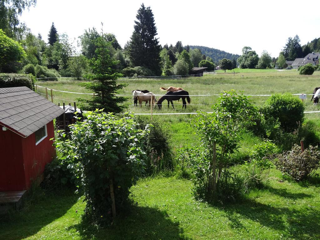 Ferienwohnung Mattenweg 1A Hinterzarten Zewnętrze zdjęcie