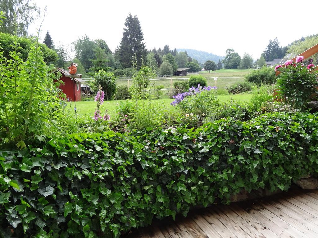 Ferienwohnung Mattenweg 1A Hinterzarten Zewnętrze zdjęcie