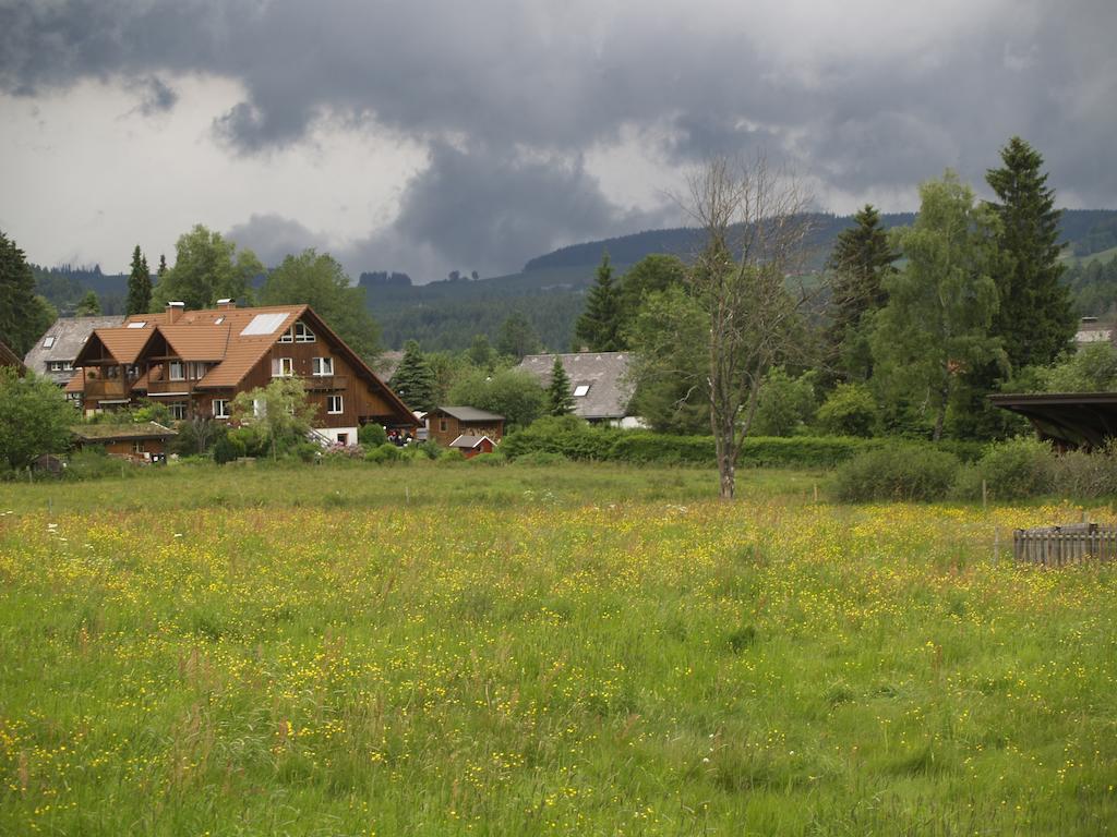 Ferienwohnung Mattenweg 1A Hinterzarten Pokój zdjęcie