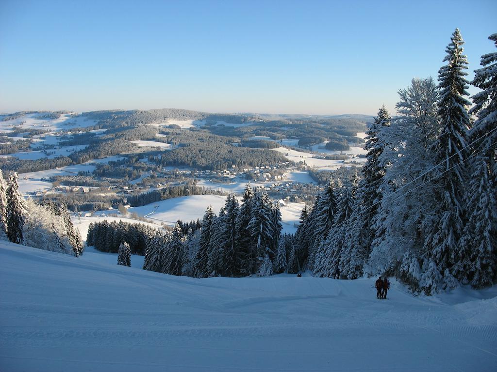 Ferienwohnung Mattenweg 1A Hinterzarten Pokój zdjęcie