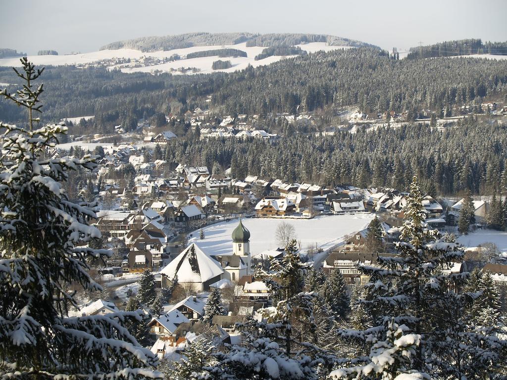 Ferienwohnung Mattenweg 1A Hinterzarten Pokój zdjęcie